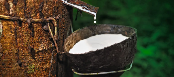 lattice di gomma naturale