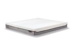 Tempur PRO Firm 21